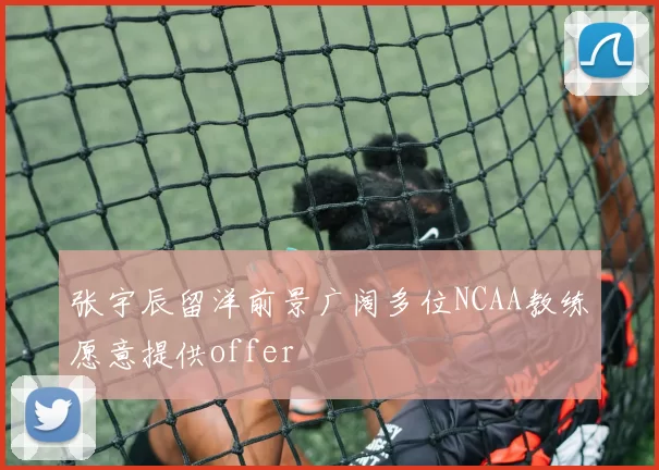 张宇辰留洋前景广阔多位NCAA教练愿意提供offer